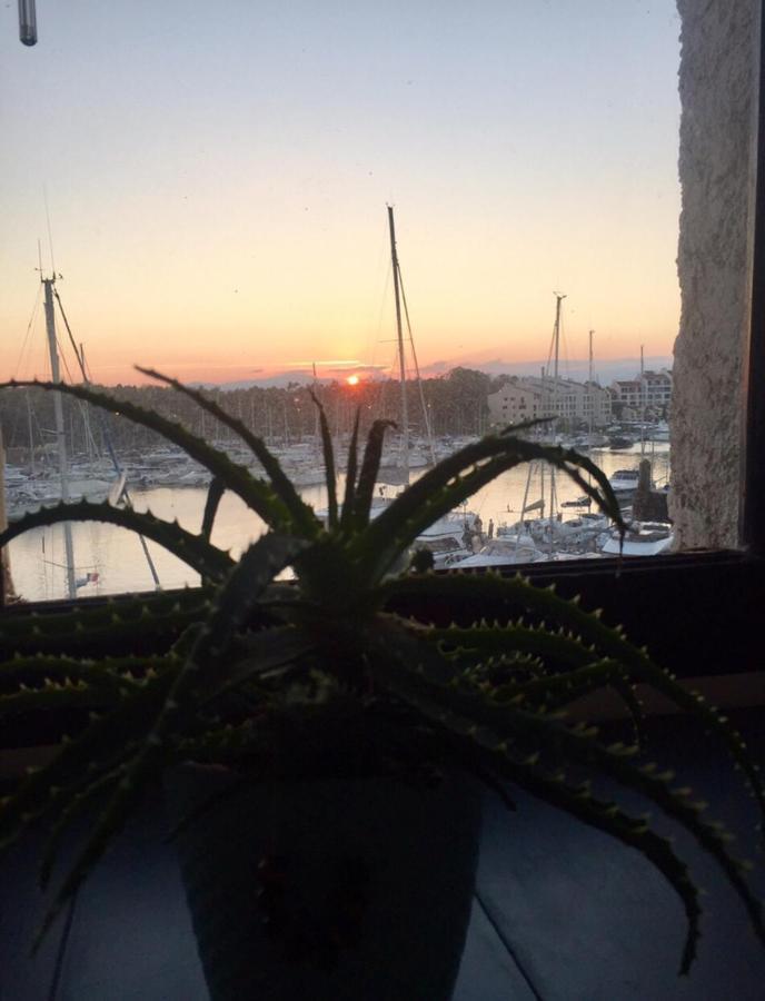 Appartamento Petit Cocon Magnifique Vue Sur Marina Dans Le Golfe De Saint Tropez Cogolin Esterno foto