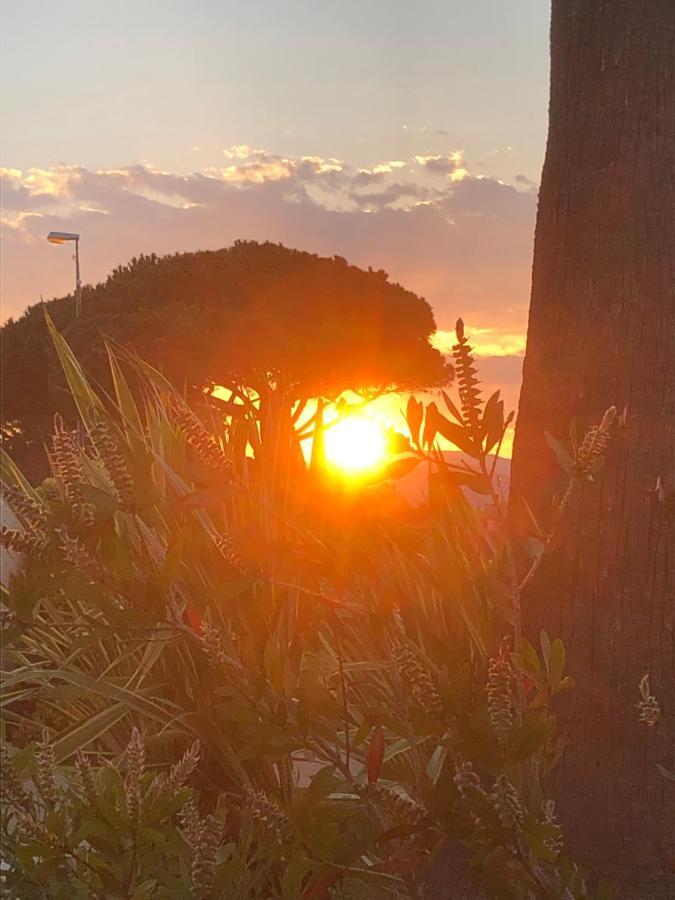 Appartamento Petit Cocon Magnifique Vue Sur Marina Dans Le Golfe De Saint Tropez Cogolin Esterno foto