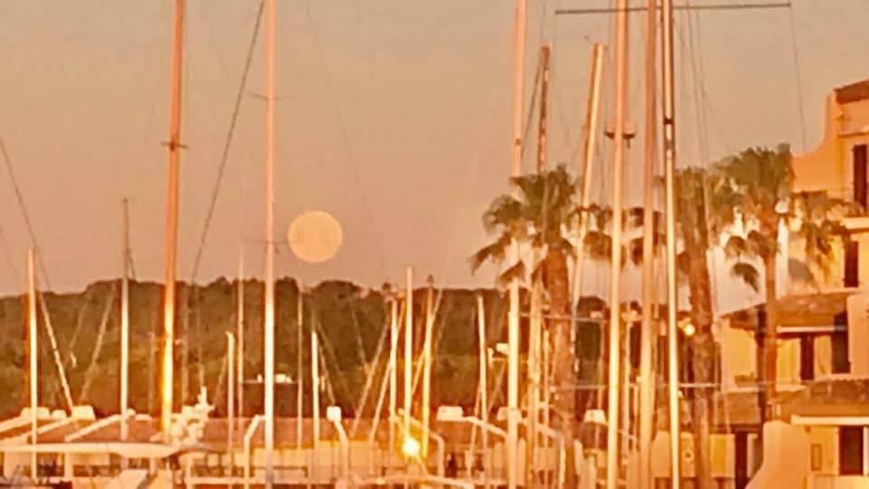 Appartamento Petit Cocon Magnifique Vue Sur Marina Dans Le Golfe De Saint Tropez Cogolin Esterno foto